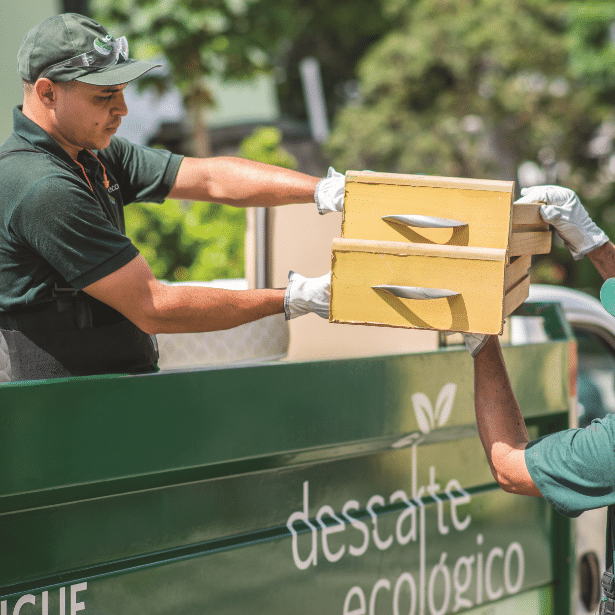 Serviços Sustentáveis nos pilares ESG - Coleta de resíduos para Descarte Ecológico da Ecoassist