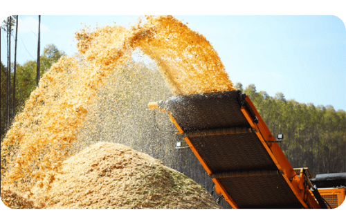 Maquinário de processamento; tipos de desmobilização empresarial
