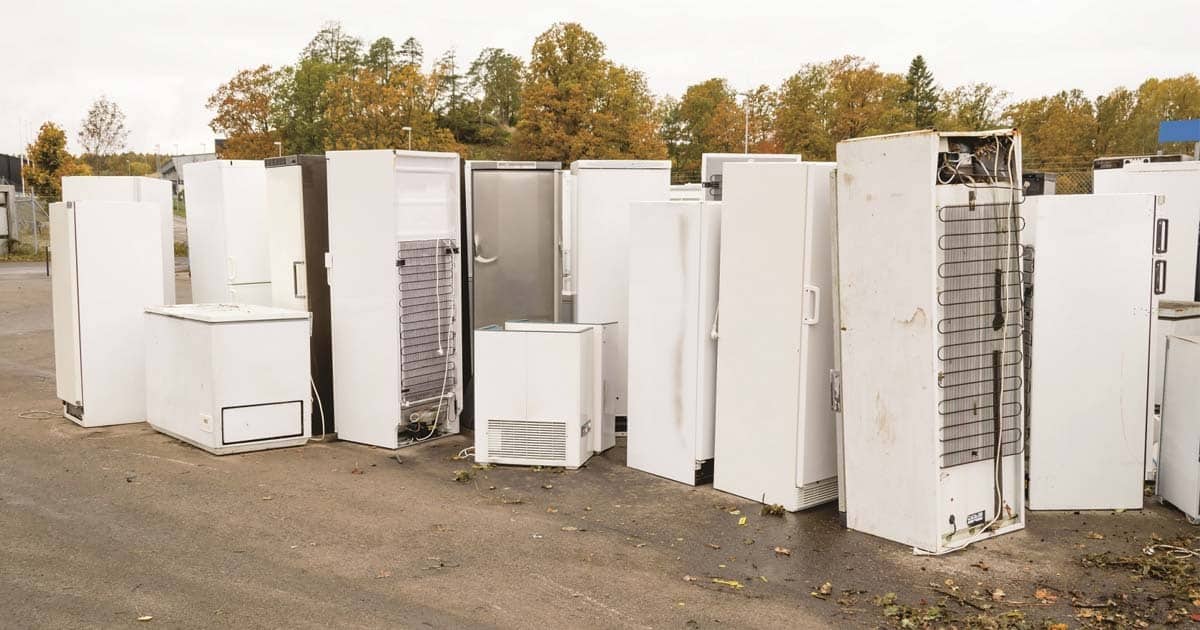 Coleta de Salvados e Descarte Ecológico