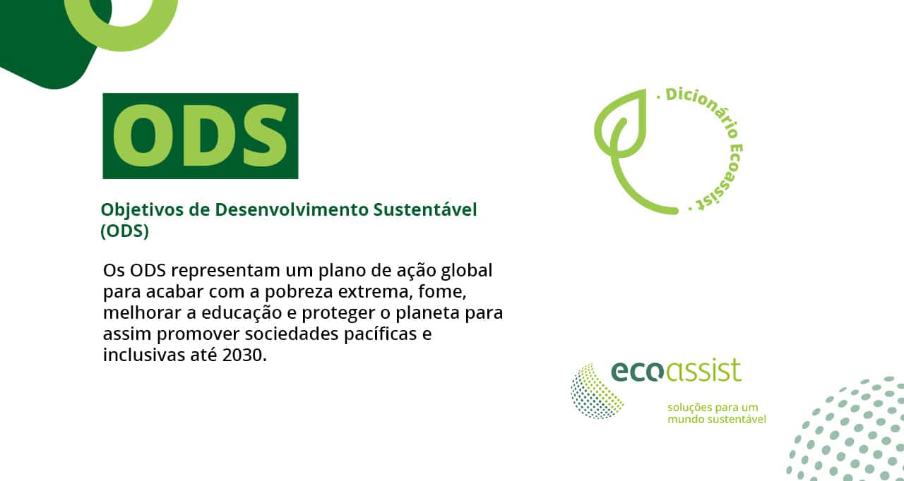 Entenda o que são os ODS