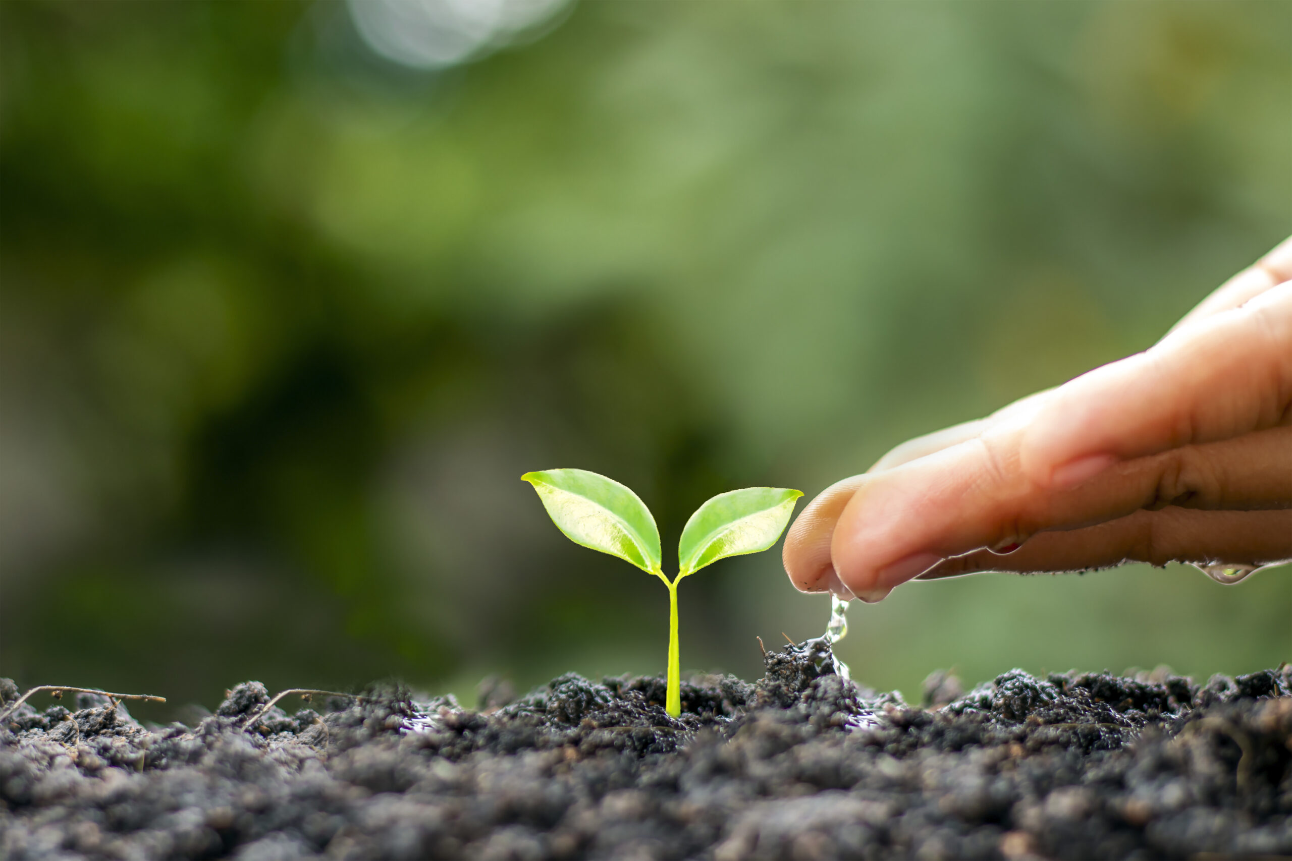 Entenda o que é gestão de resíduos