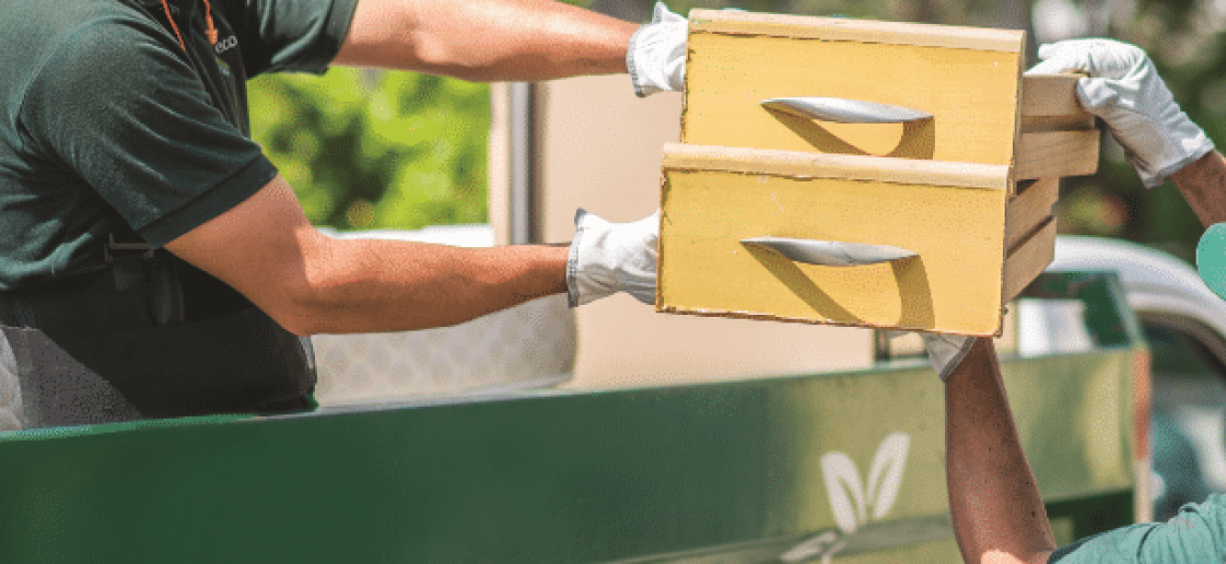 Serviços Sustentáveis nos pilares ESG - Coleta de resíduos para Descarte Ecológico da Ecoassist