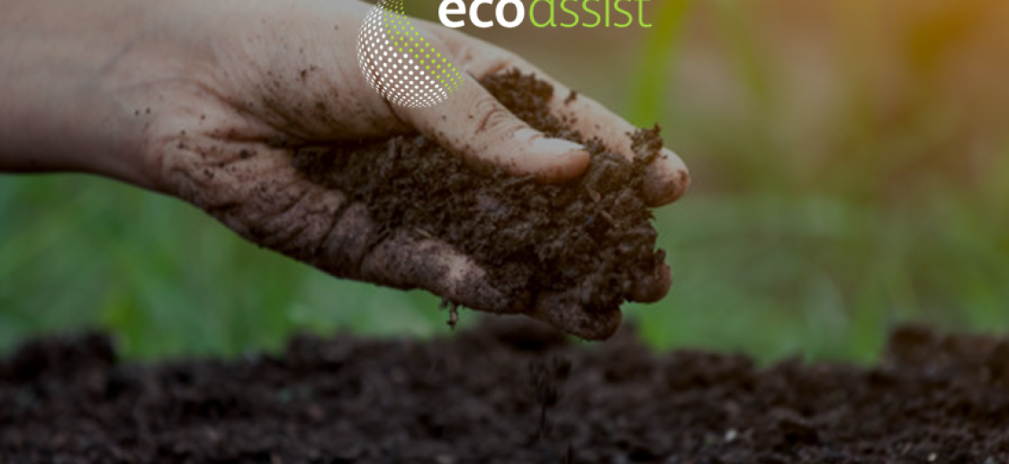 Compostagem doméstica