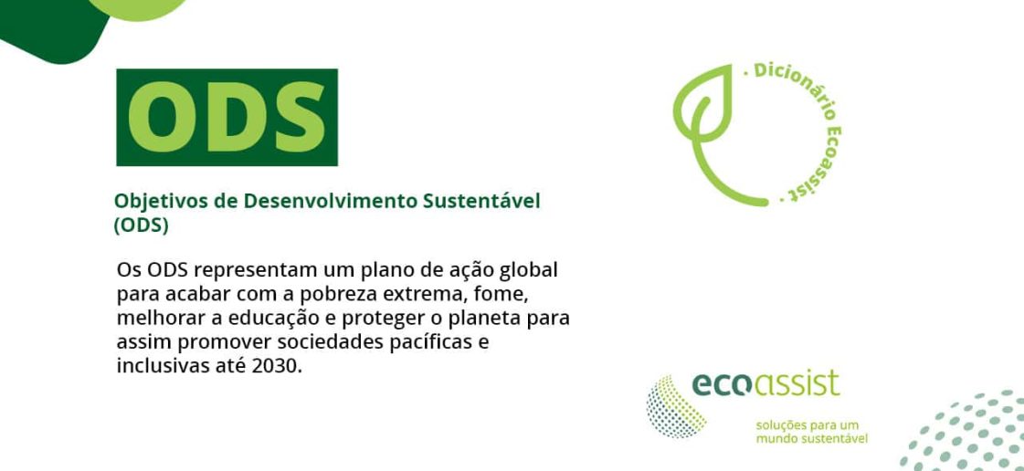 Entenda o que são os ODS