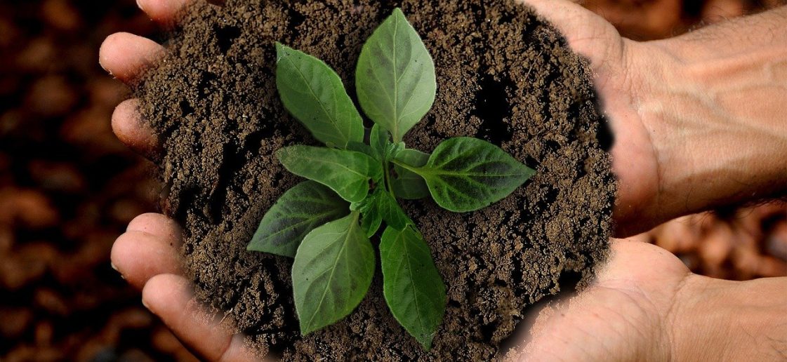 Semana do Meio Ambiente e Descarte Ecológico