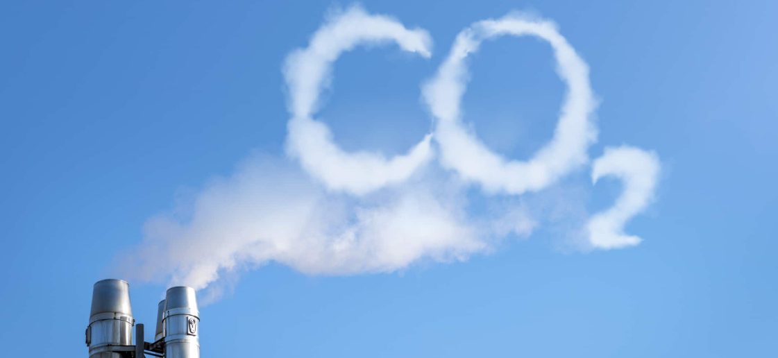 Compensação de Carbono: importância, créditos, ESG e mercado - Ecoassist