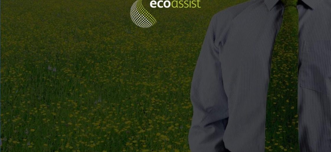 o que é consultoria ambiental