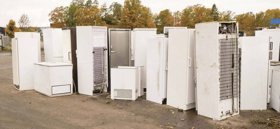 Coleta de Salvados e Descarte Ecológico