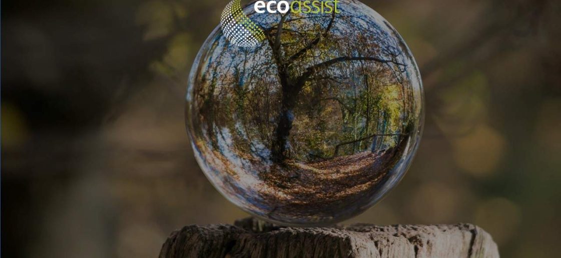 sustentabilidade no meio urbano