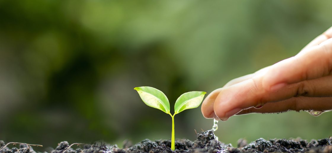 Entenda o que é gestão de resíduos