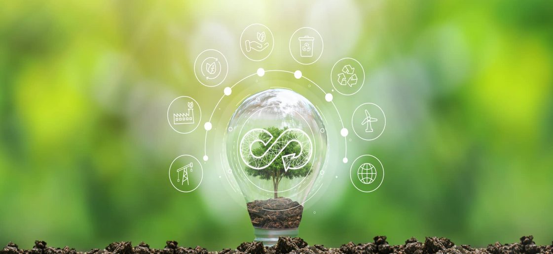 Como aplicar a economia circular nas empresas