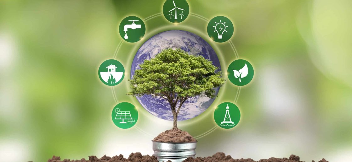 Entenda o que é sustentabilidade